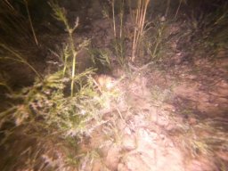 immersioni-estate22 5